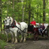 Stowe vermont carriage rides