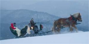 Sleigh Ride