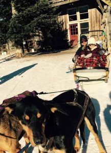 vermont dog sled tour