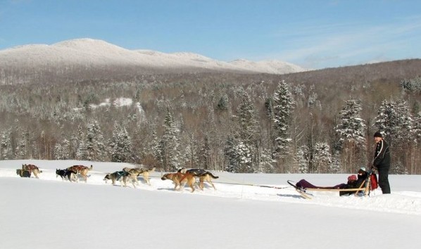 Vermont sled dog tours