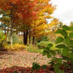 Fall adventures in Stowe Vermont - romance