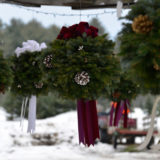Christmas Tree Farm in Vermont