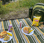 Romantic Picnic in Vermont