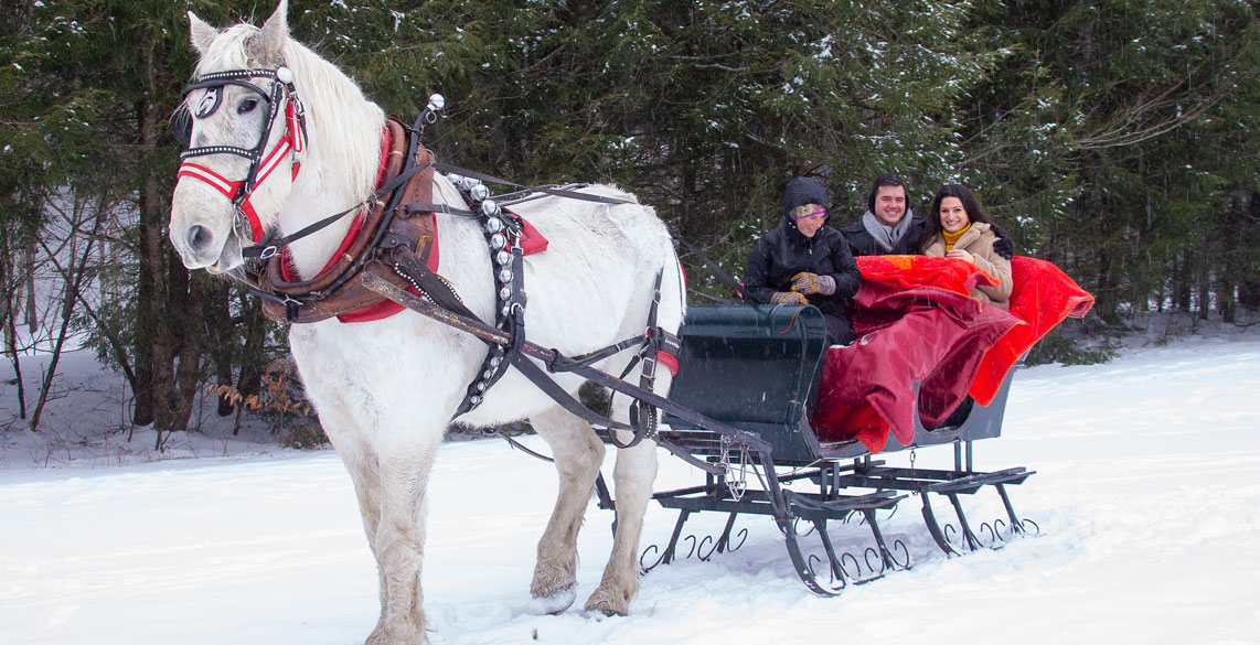 Romantic Horse Drawn Sleigh Ride in Stowe Vermont