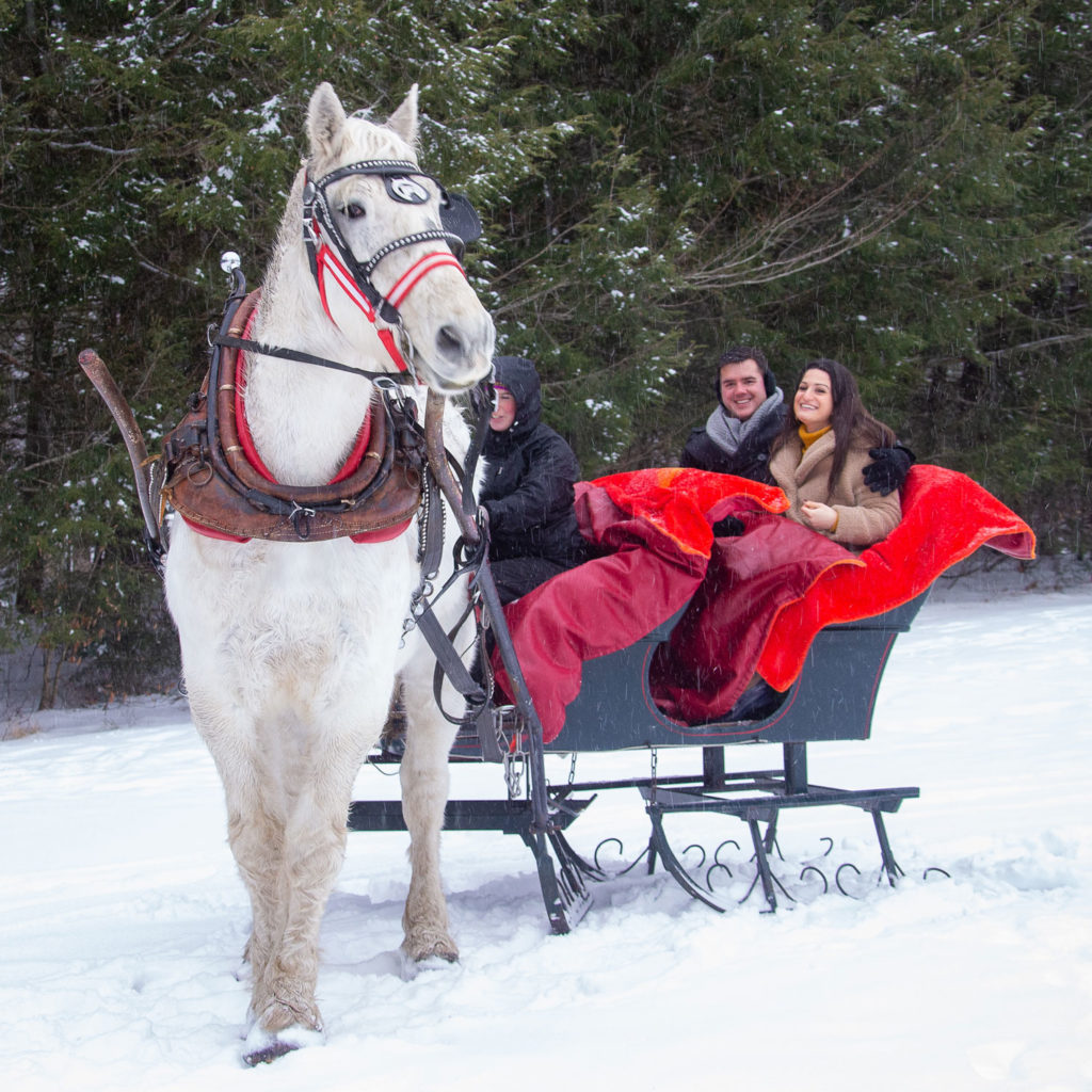 Sleigh Rides in Stowe