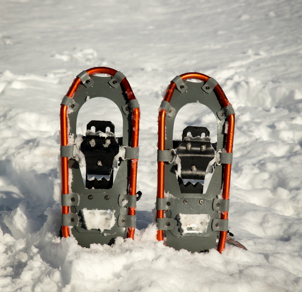 snowshoeing in vermont