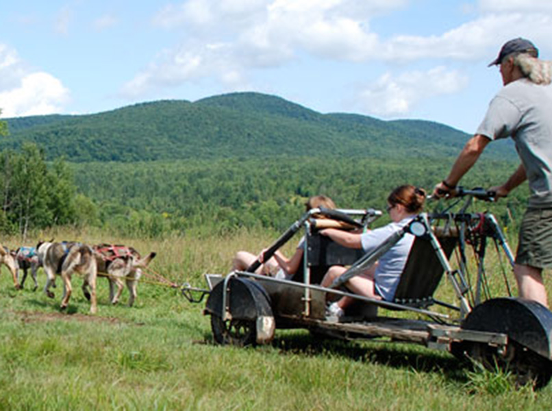 Summer dog sledding in vermont