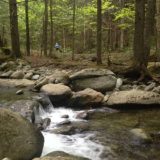 Trail Running Guided in Stowe, Vermont